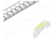 OSW54008C1F