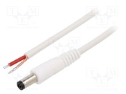 P21-TT-C100-050WH