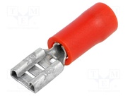 BM 00145