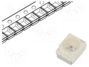 LY T67K-K2M1-26
