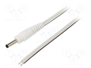 P13-TT-T050-150WH