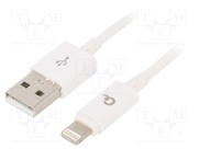 CC-USB2P-AMLM-2M-W