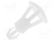 FIX-RCG-8