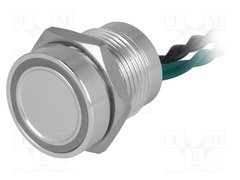 PS165P10YNT1G12V