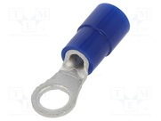TMEX 2-4S-BLU