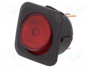 R13-203B-01-BR