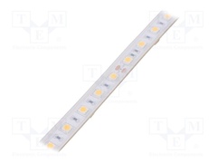 S010060CC1LZ (WARM WHITE IP65)