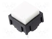 320.01E11WHT