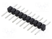 SL12SMD058.10Z