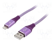 CC-USB2B-AMLM-2M-PW