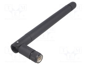GSM-ANT015KZW-SMA
