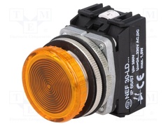 NEF30-LDG 24-230V AC/DC