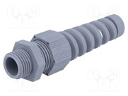HT-K M16 RAL7001