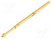IT100-P22