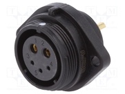 SP2113/S5B