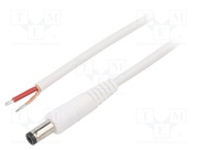 A21-TT-C100-150WH