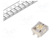 TS53YL102MR10