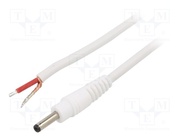 P13-TT-C100-150WH