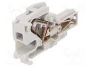 1SNK806712R0000 (CDK4)