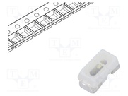 RF-GNRC13TS-CF