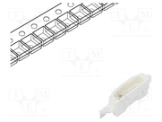 OSR54008C1F