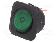 R13-203B-01-BG
