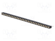 DS1002-01-1*30V13-JK