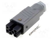 931691106 STAK 5