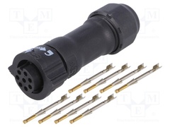 BD-08BFFA-QL8MP0