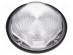 FN14720_STELLA-FRESNEL