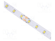 S010064BC1LZ (NEUTRAL WHITE IP20)
