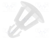 FIX-RCG-4.8