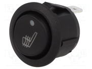 R13-273DL-02-BBYGR