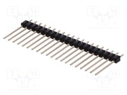 DS1021-1*20SF15-B