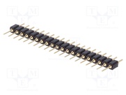 DS1004-1X20F12-B