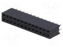 DS1023-2*13S21
