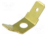 BM 01013