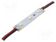 OF-LED3PLCC2-WL3