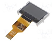 DEM 128064C1 FGH-PW
