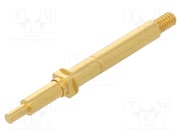 TK36SCR.10.1,40.S.300.A