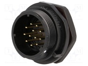 SP2112/P12