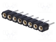 DS1002-01-1X8V13-JK