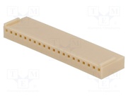 NS25-G20