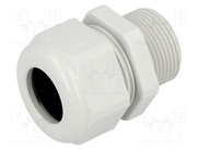 HSK-L M25 RAL7035