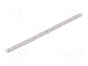 S010120BC1LZ (WARM WHITE IP65)