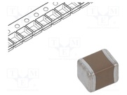 MC10MTB101475