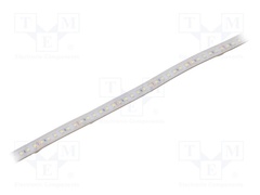 S010120BC1LZ (COLD WHITE IP65)