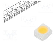 RF-INMA30DS-EE-F