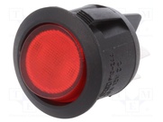 R13-244B-02-BR
