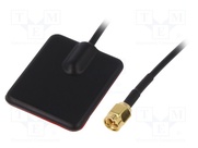 GSM-ANT117
